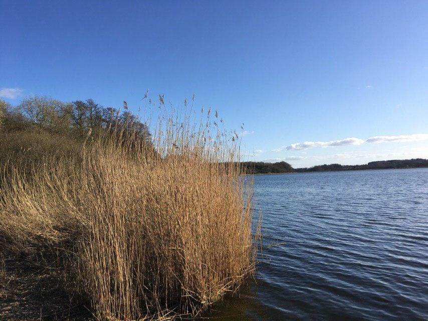 Ferienwohnung Am Noor Nahe Schleswig Und Dem Wikingerdorf Haithabu Fahrdorf  Dış mekan fotoğraf