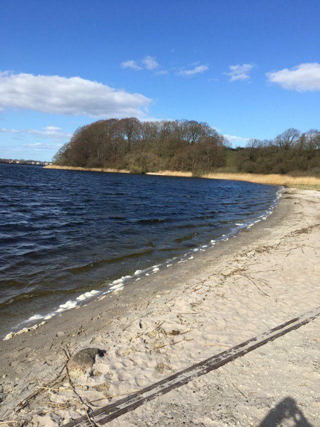 Ferienwohnung Am Noor Nahe Schleswig Und Dem Wikingerdorf Haithabu Fahrdorf  Dış mekan fotoğraf